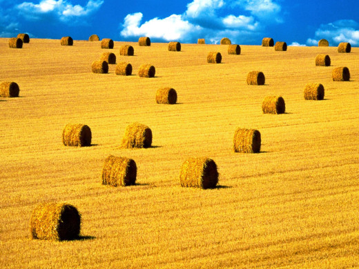 29403 (a): :1600x1200